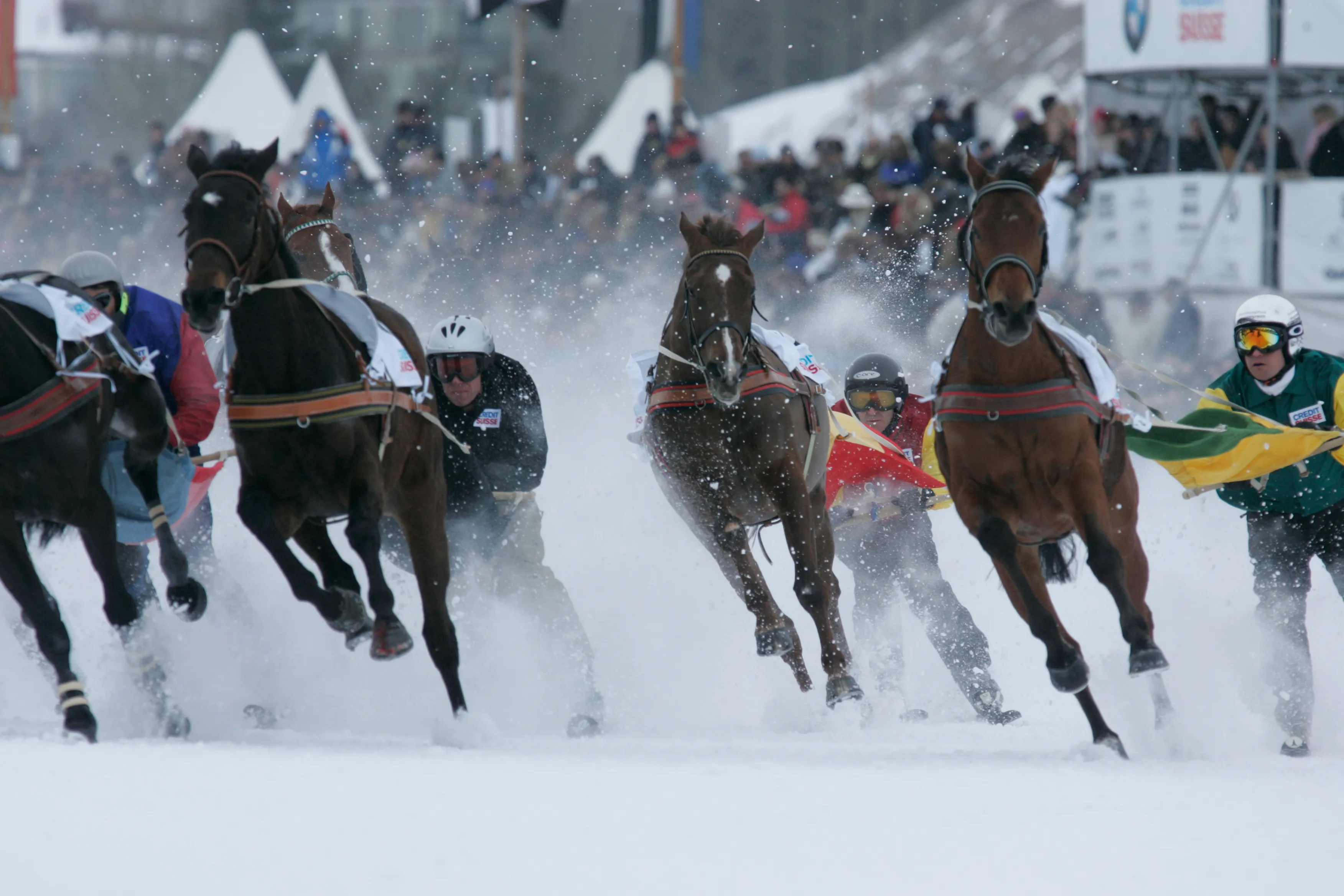 Skikjöring-Rennen mit Volta im Bogen