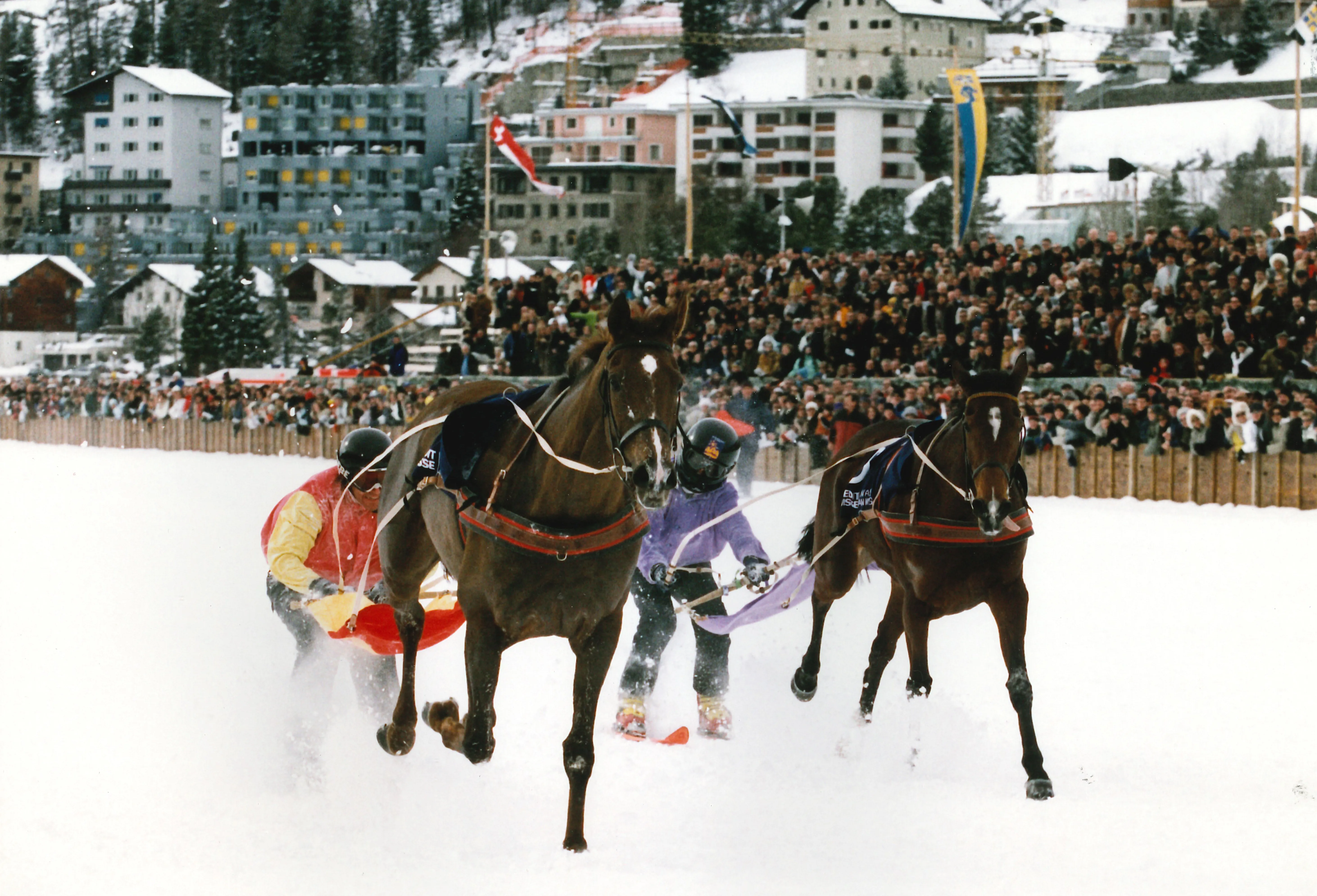 Volta im Finish beim Skikjöring 2002