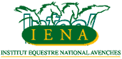 IENA